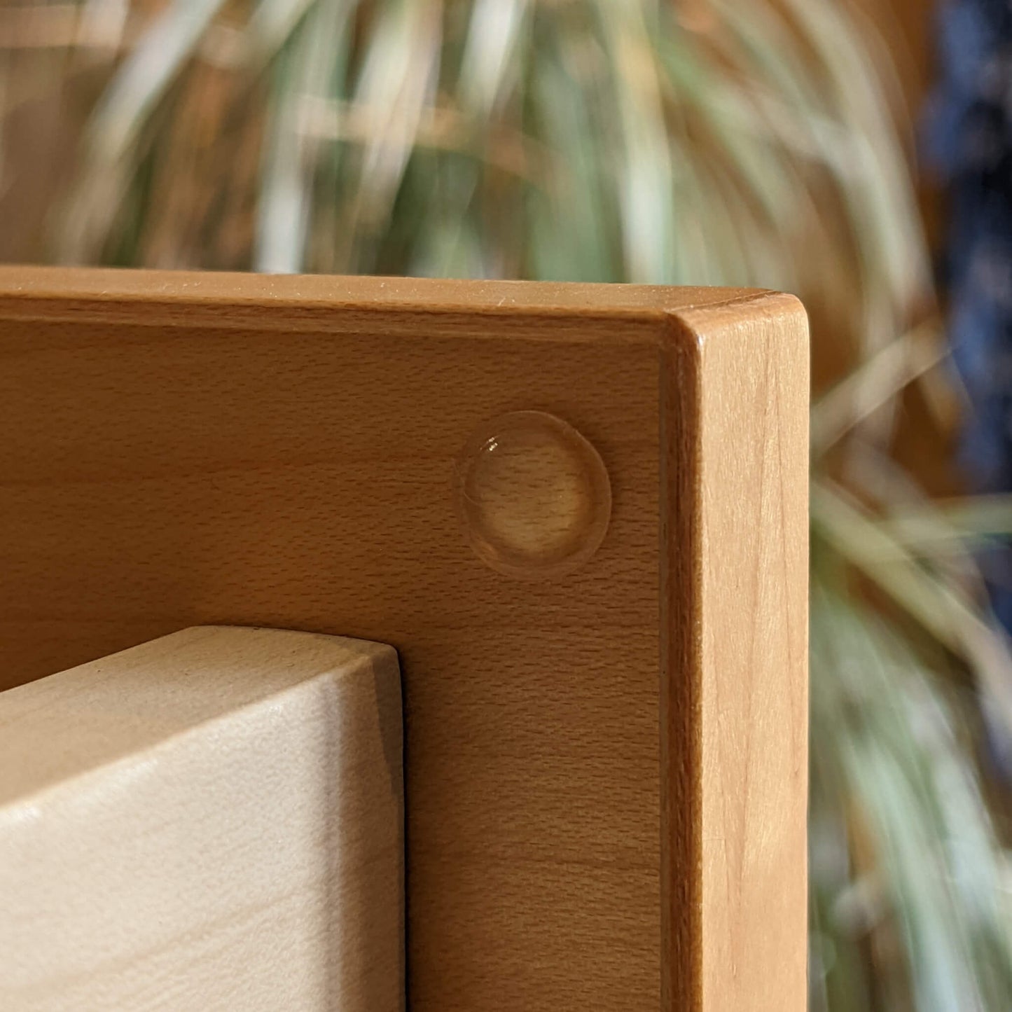 A domed bumper, applied to the inside of a drawer to prevent noise when the drawer is being closed.