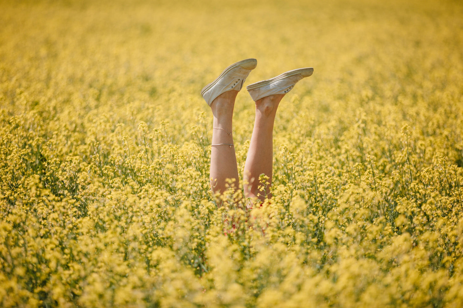 Upside down legs poking out of a field of yellow flowers.